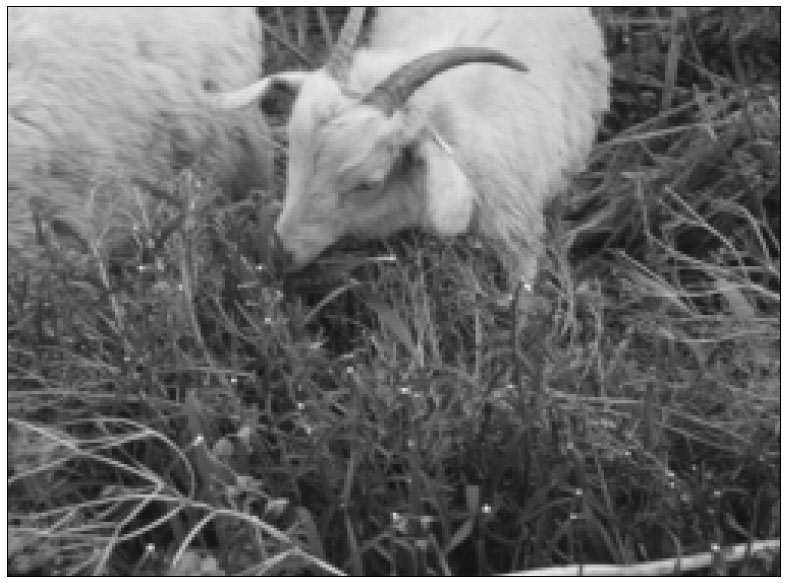Goats eat weeds